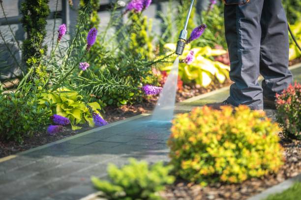 Best Dumpster Area Cleaning  in Portage Lakes, OH